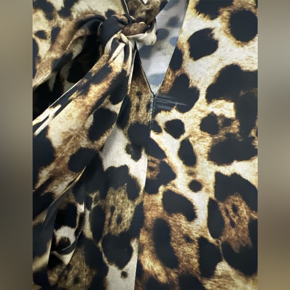 ALEXIS Lydia Leopard Dress - Picture 12 of 12